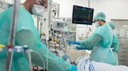 جلال: coronavirus ، تاج جمعیت ، coronavirus از کتابها 19 Covid