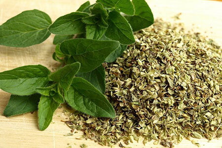 خواص ارگانو را بشناسیم - ایسنا