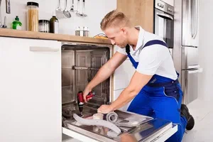 The dishwasher turns on but does not work