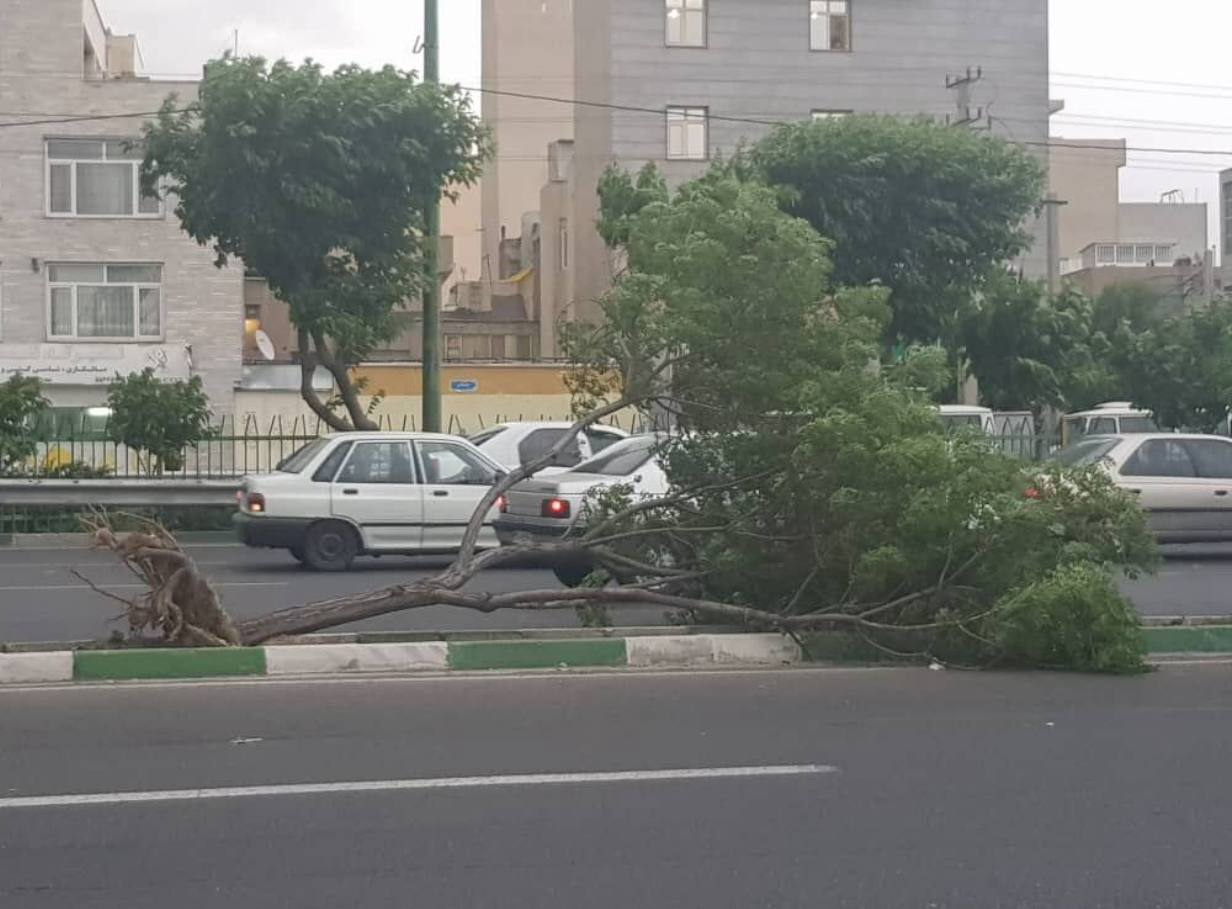 طوفان شب گذشته در تهران ۶ مصدوم داشت